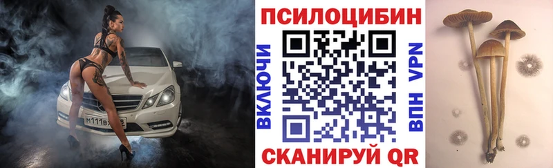 где купить наркоту  Иланский  Галлюциногенные грибы ЛСД 